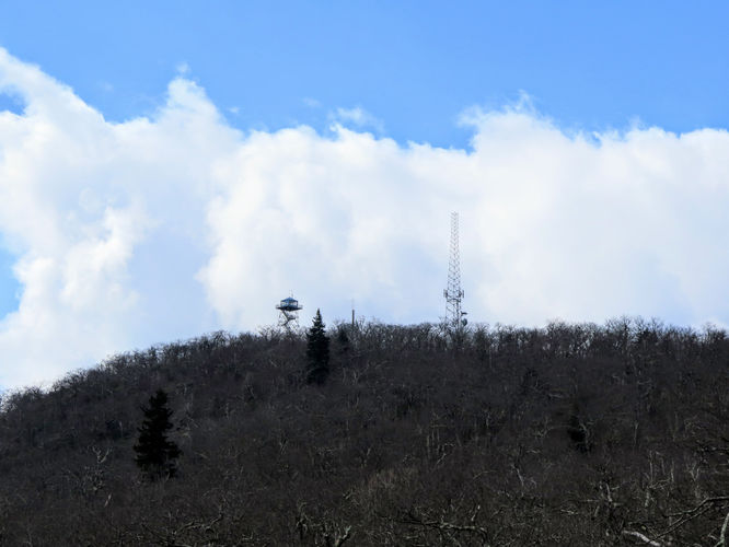 Picture 6 of Fryingpan Mountain Hike 021217