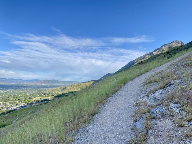 Views from on-trail