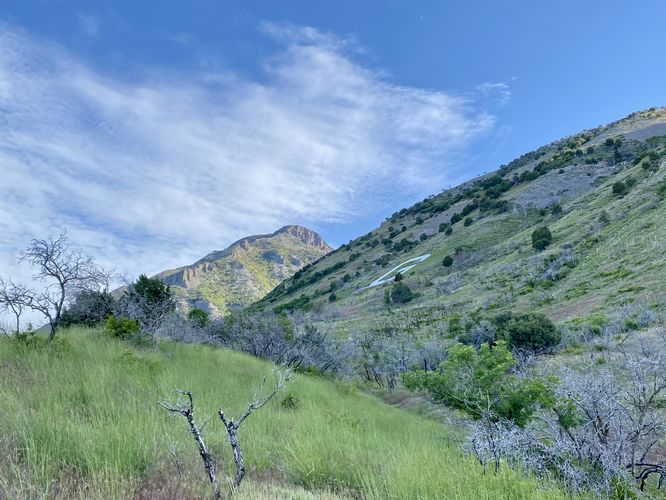 View of the G from the trail