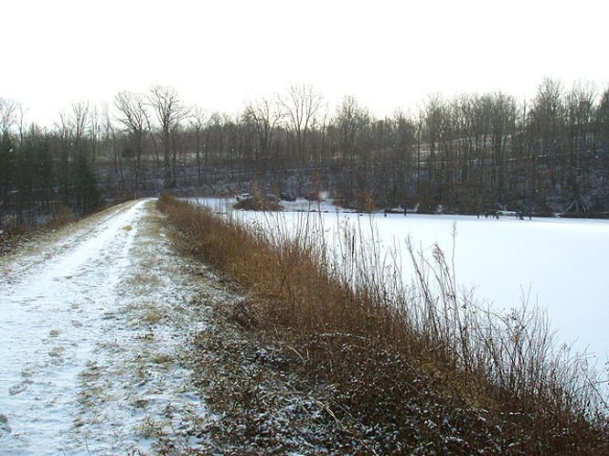 Picture 3 of G R Thompson WMA Hike012404