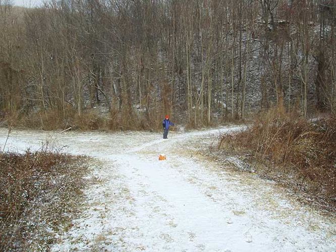 Picture 4 of G R Thompson WMA Hike012404