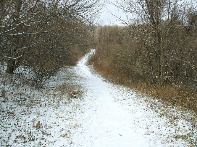 Picture 5 of G R Thompson WMA Hike012404