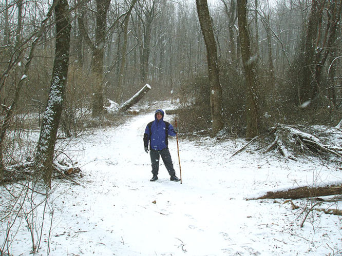 Picture 9 of G R Thompson WMA Hike012404