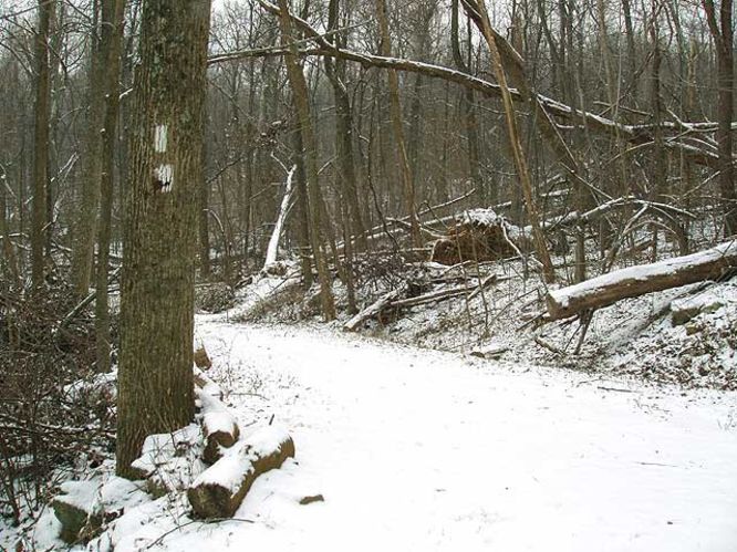 Picture 10 of G R Thompson WMA Hike012404