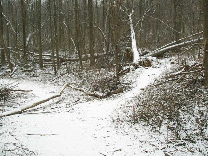 Picture 11 of G R Thompson WMA Hike012404