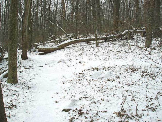 Picture 12 of G R Thompson WMA Hike012404