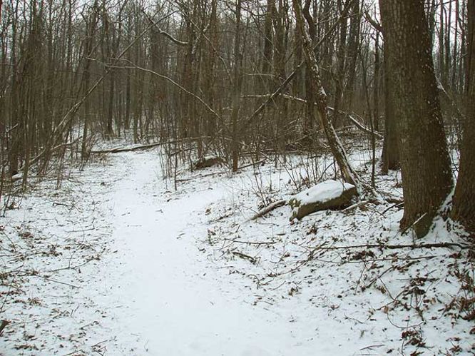 Picture 15 of G R Thompson WMA Hike012404