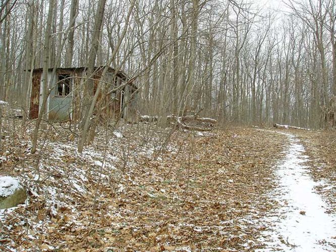 Picture 18 of G R Thompson WMA Hike012404