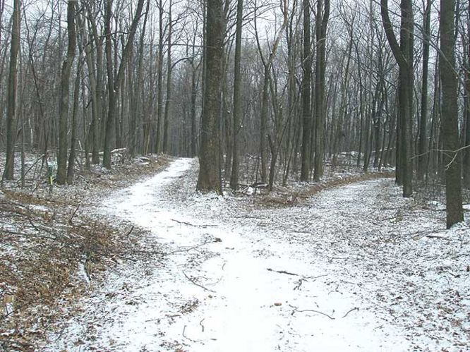 Picture 19 of G R Thompson WMA Hike012404