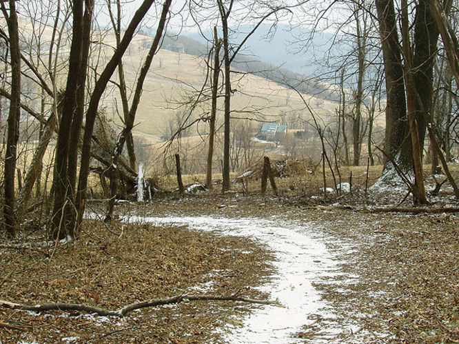 Picture 20 of G R Thompson WMA Hike012404