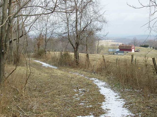 Picture 22 of G R Thompson WMA Hike012404