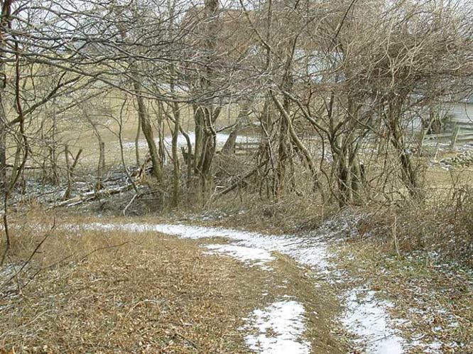 Picture 23 of G R Thompson WMA Hike012404
