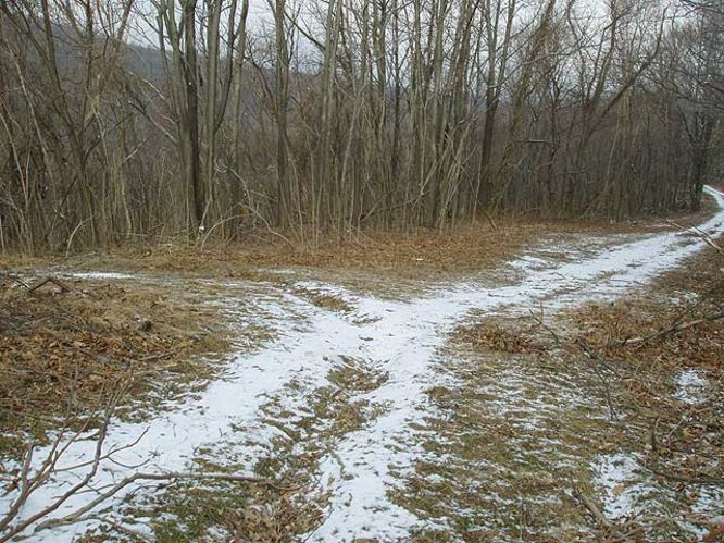 Picture 24 of G R Thompson WMA Hike012404