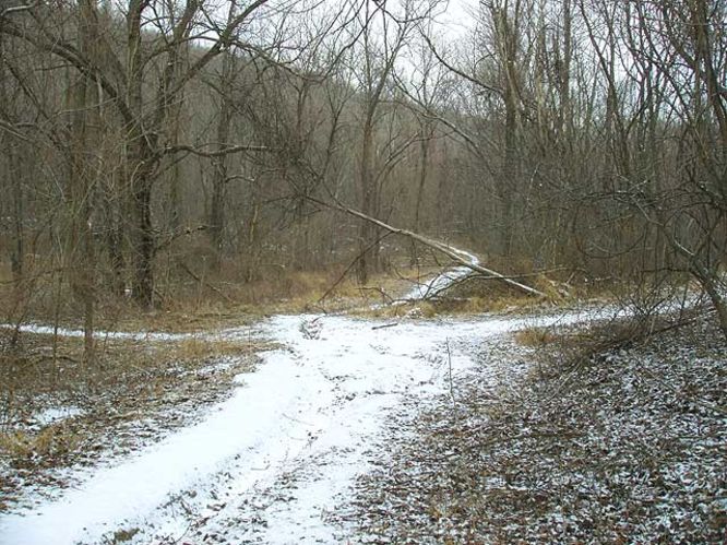 Picture 25 of G R Thompson WMA Hike012404
