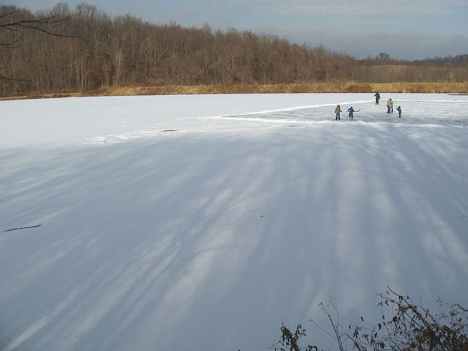 Picture 27 of G R Thompson WMA Hike012404