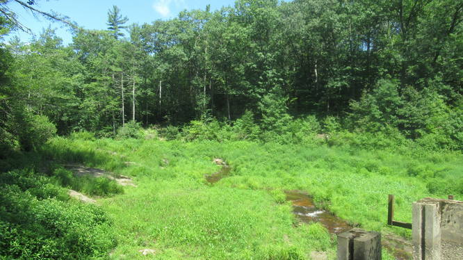 Meadow and stream at old dam site