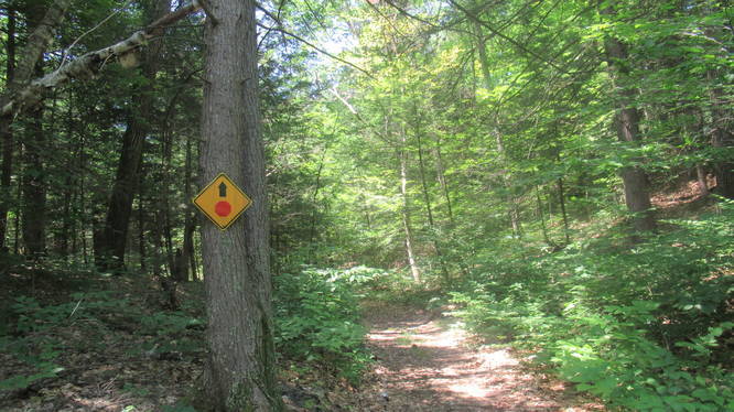 Snowmobile Stop sign along trail