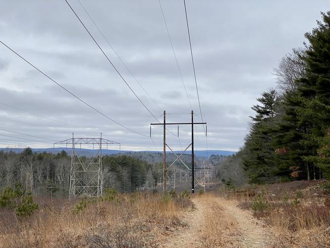 View facing north along powerlines