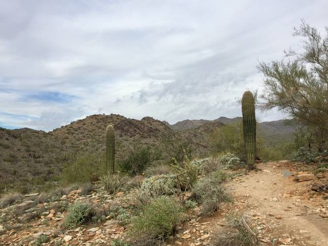 Picture 4 of Gateway Trail McDowell Sonoran Preserve