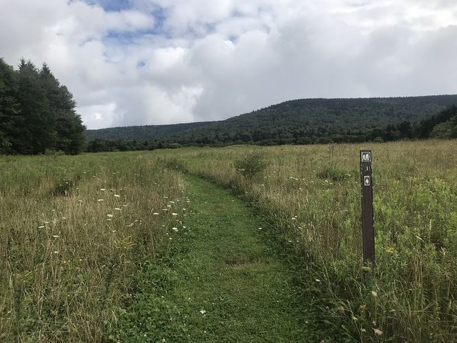 Default image for Gauley Mountain and Tea Creek Hike, a 12.7-mile trail in Marlinton, WV (US)