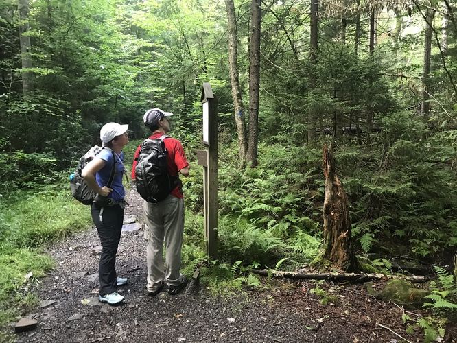 Picture 7 of Gauley Mountain and Tea Creek Hike 082220