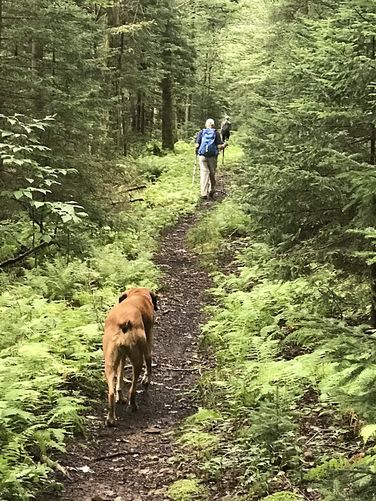 Picture 10 of Gauley Mountain and Tea Creek Hike 082220