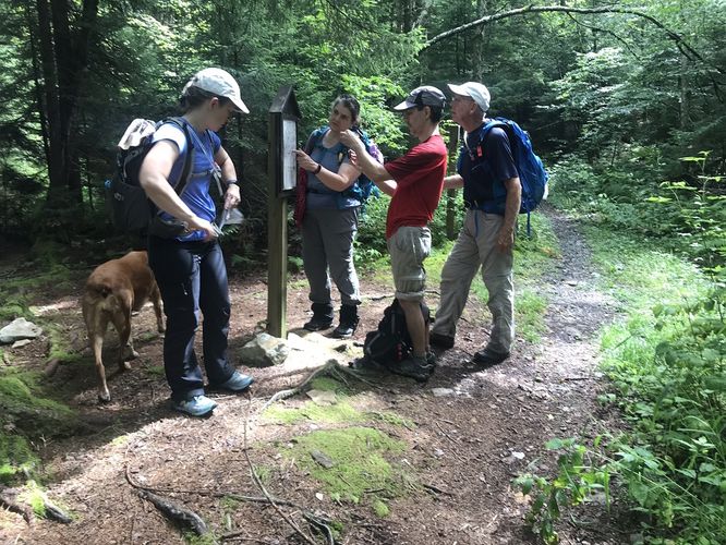 Picture 11 of Gauley Mountain and Tea Creek Hike 082220