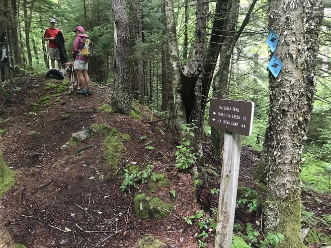 Picture 18 of Gauley Mountain and Tea Creek Hike 082220