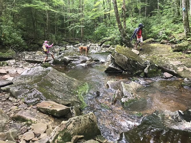 Picture 19 of Gauley Mountain and Tea Creek Hike 082220
