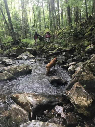 Picture 21 of Gauley Mountain and Tea Creek Hike 082220