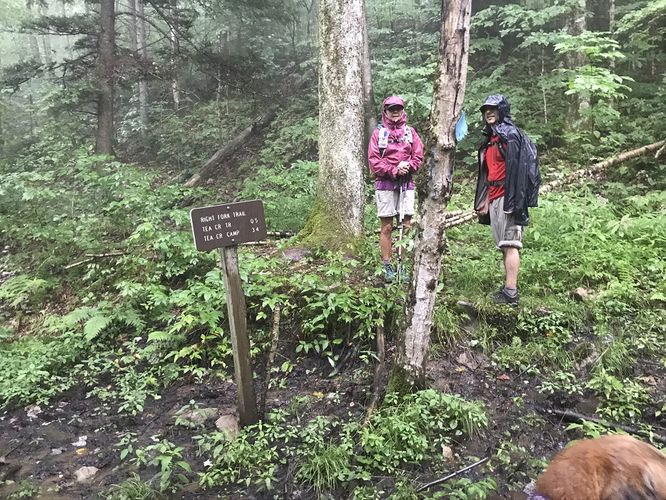 Picture 25 of Gauley Mountain and Tea Creek Hike 082220