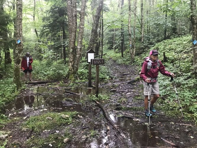 Picture 27 of Gauley Mountain and Tea Creek Hike 082220