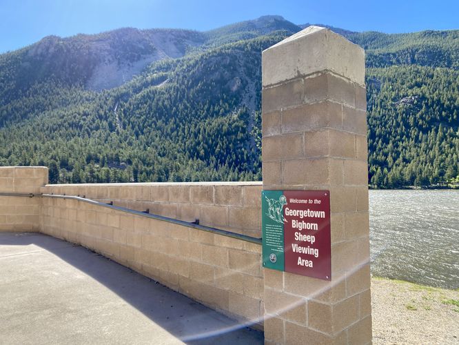 Georgetown Bighorn Sheep Viewing Area