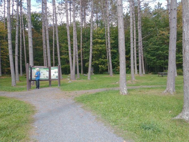 Wayside picnic area 