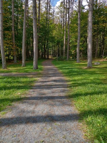 Trail substrate 