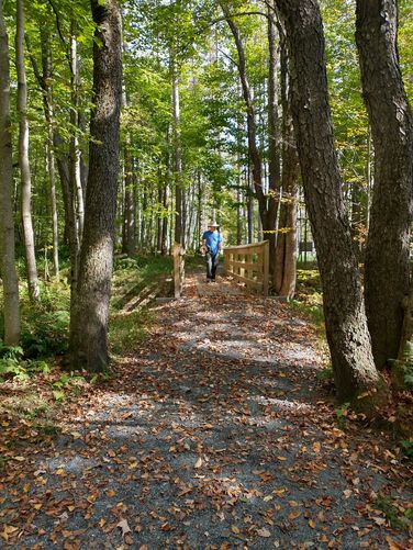 Bridge on Georgie's Path 
