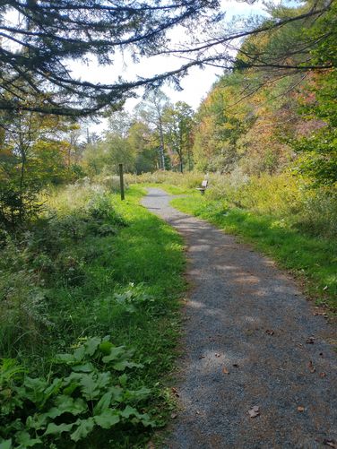Georgie's Path Trail substrate 
