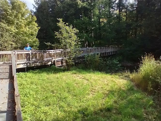 Bridge over the Middlebury River 