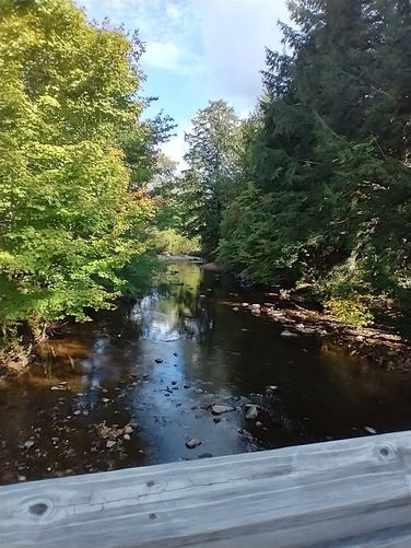Views of the Middlebury River 
