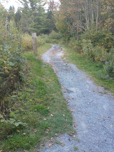 Trail substrate 