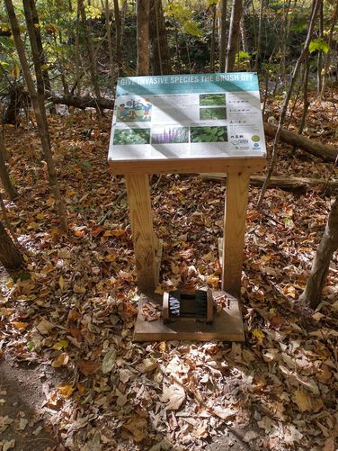 Brush your feet to stop the spread of invasives