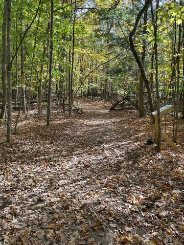 Trail substrate 