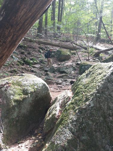 Trail substrate 