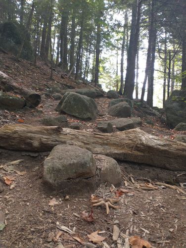 Rocky trail substrate 