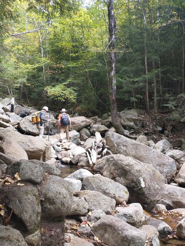 Trail crosses over the Brook