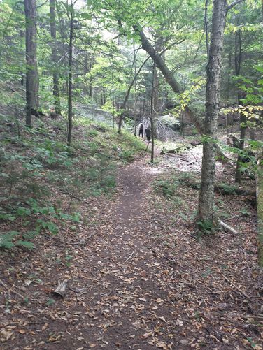 Trail substrate 