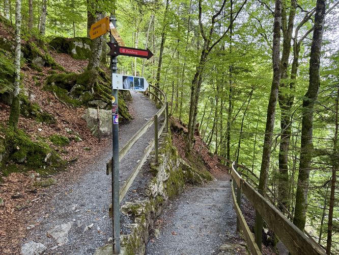 Picture 3 of Giessbach Falls Trail