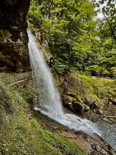 Picture 7 of Giessbach Falls Trail