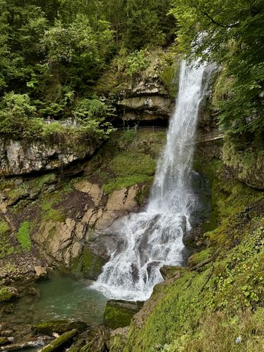 Picture 16 of Giessbach Falls Trail