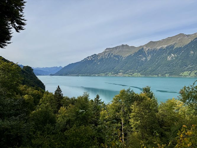 View of Lake Brienz from Grandhotel Giessbach